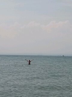 20200628_123020.jpg