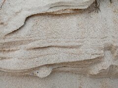 20200626_193626.jpg