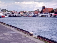 IMG_20200630_113514.jpg
