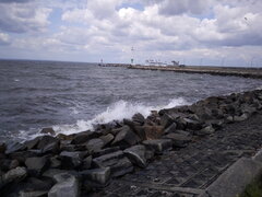 IMG_20200630_111624.jpg