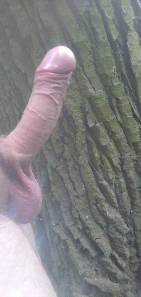 IMG_20200703_144710569.jpg - Szeld