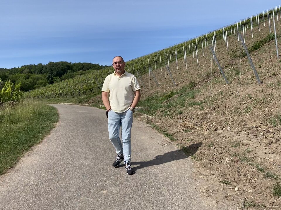 F3811F1D-8A17-4F04-8326-54E67FF7E1E8_1_201_a.jpeg - blacki