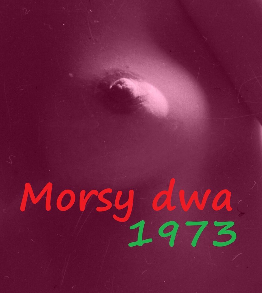 Retro - Morsy_dwa