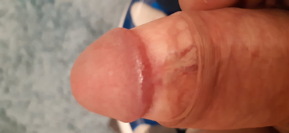 20200704_154653.jpg - MarekAntoniusz12