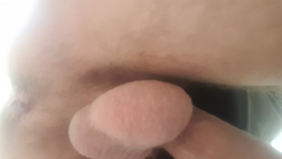 20200704_155504.jpg - Naturysta70