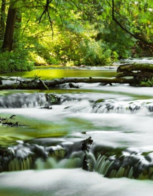 Uroki Roztocza - phenisex