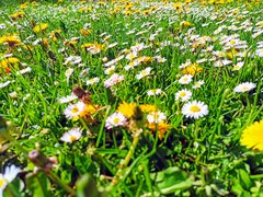 a, takie tam..... "Banalne"