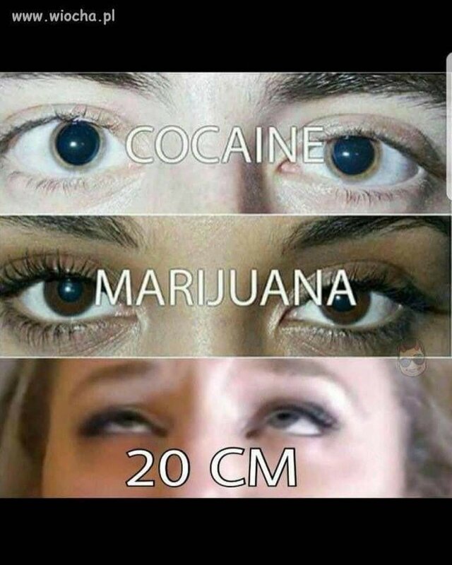 woyjtek75