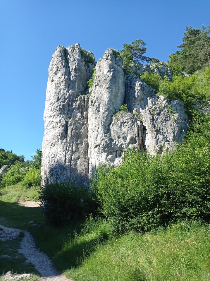 IMG_20200705_162430.jpg - tom6970