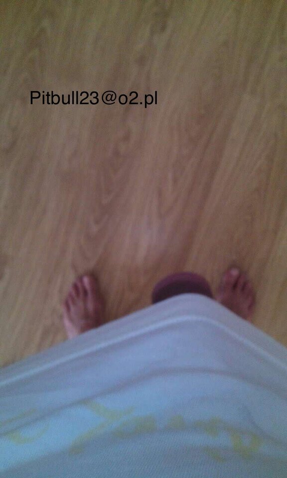 1805865B-0242-4456-BF26-6194DF85DC14.jpeg - pitbull23