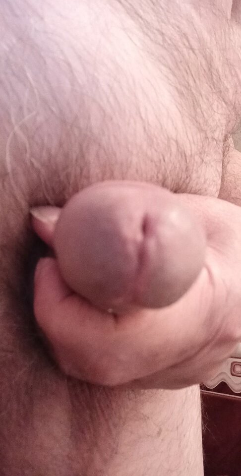 107051068_272872773803275_212292795026079918_n.jpg - konrad5258