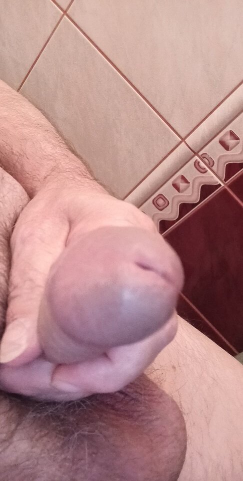 106913484_576562459722560_7093032842156289698_n.jpg - konrad5258