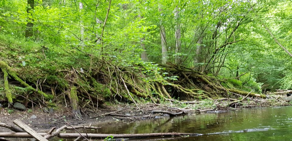 IMG-20200628-WA0005.jpg - paraolsztyn11