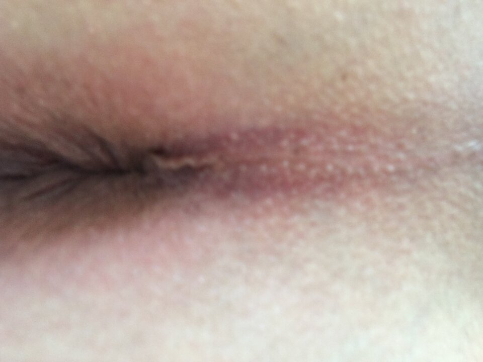 583DE56A-1297-4139-A33B-4191EFAFD11C.jpeg - pelikan70