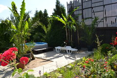 Zewnetrzne jacuzzi pod (nowymi) palmami i bananowcami  (6 lipca)