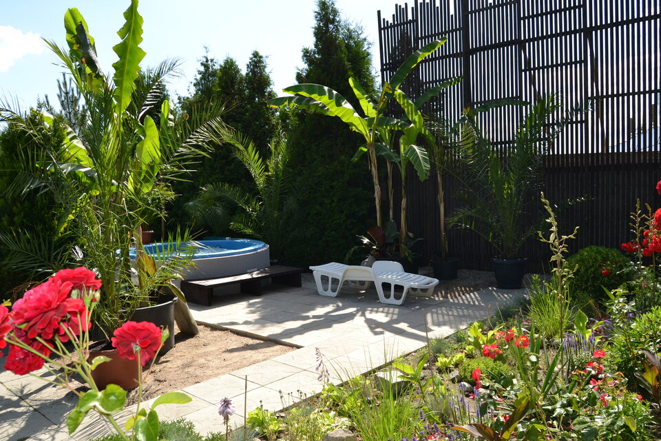Zewnetrzne jacuzzi pod (nowymi) palmami i bananowcami  (6 lipca) - jacuzzi