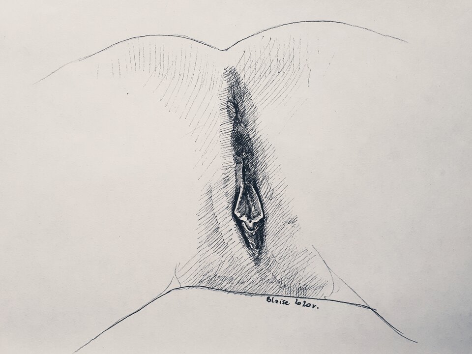 Art. No. 27 - blaise8