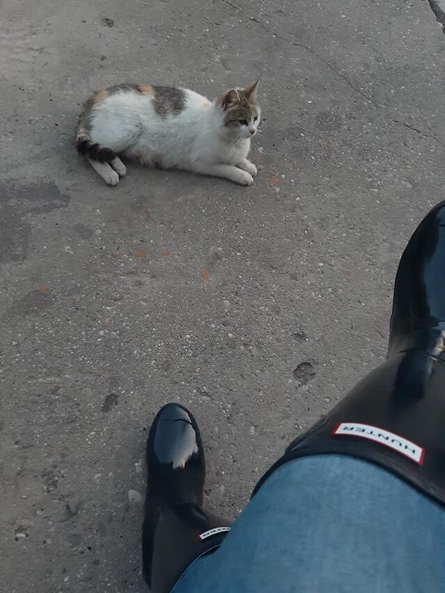 thlukasz