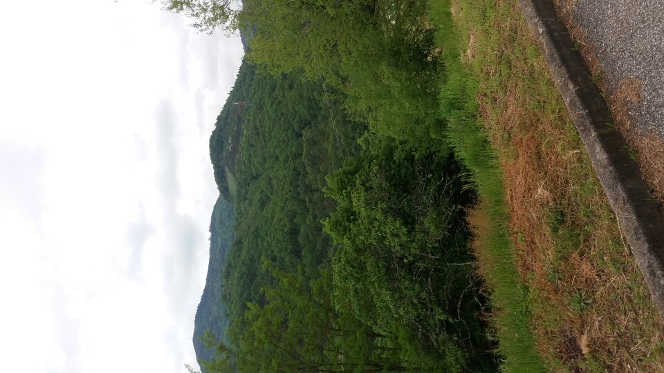 20180509_102708.jpg - pietrek3673