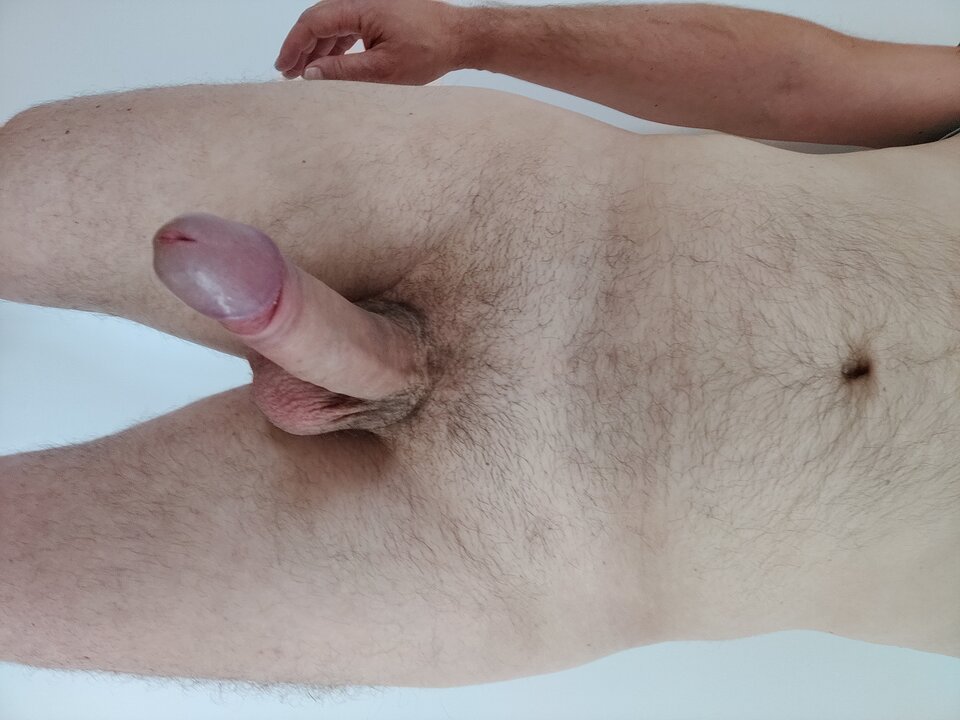 15941219730127021981370881594484.jpg - onanista70