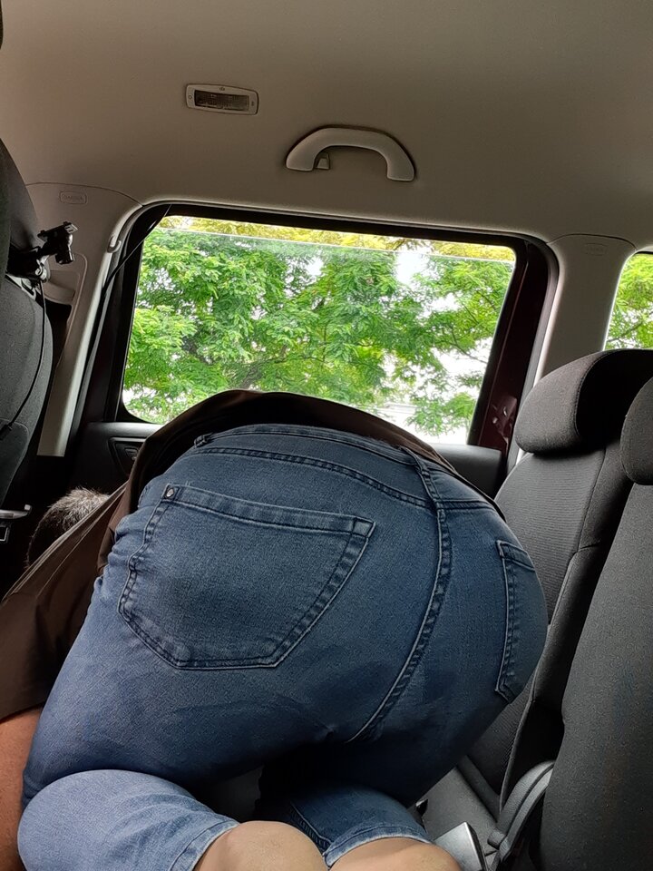 15941224925686732990202450760419.jpg - Palciusia