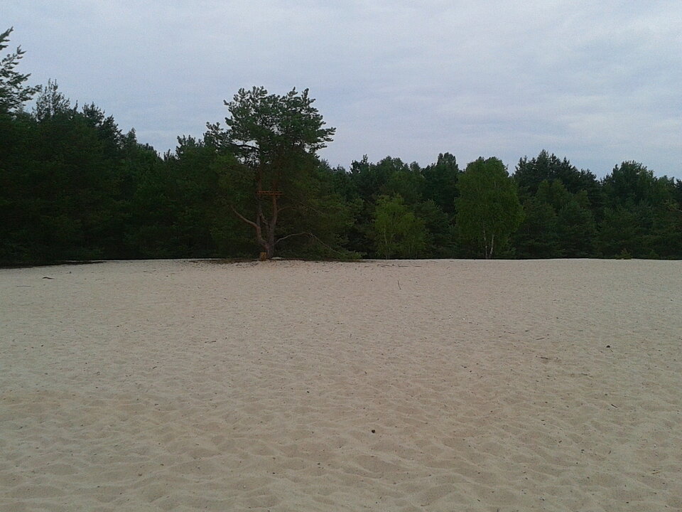 2020 07 08 (3).jpg - lookin_