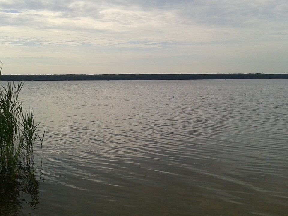 2020 07 08 (2).jpg - lookin_