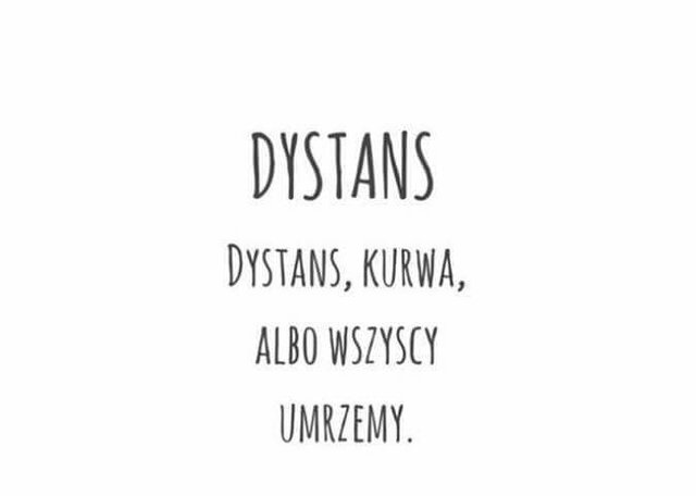 50924409_10215208463218830_6449880773565612032_n.jpg - Pan_2020