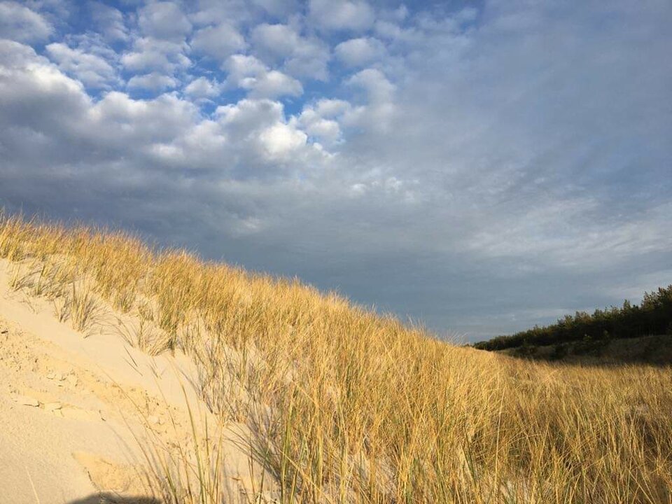 received_796592977498104.jpeg - moralez888