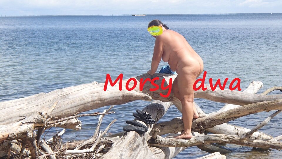 Nad morzem. - Morsy_dwa