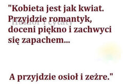4427BB0D-3B33-4A74-883A-39CDA7123CAC.jpeg