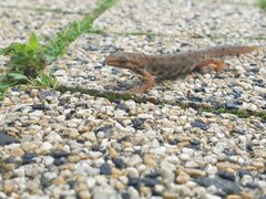 20200620_095052.jpg