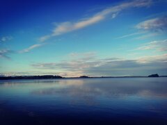 IMG_20200708_200956.jpg