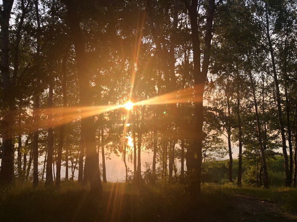 IMG_20190604_213227_010.jpg - GliwPara45