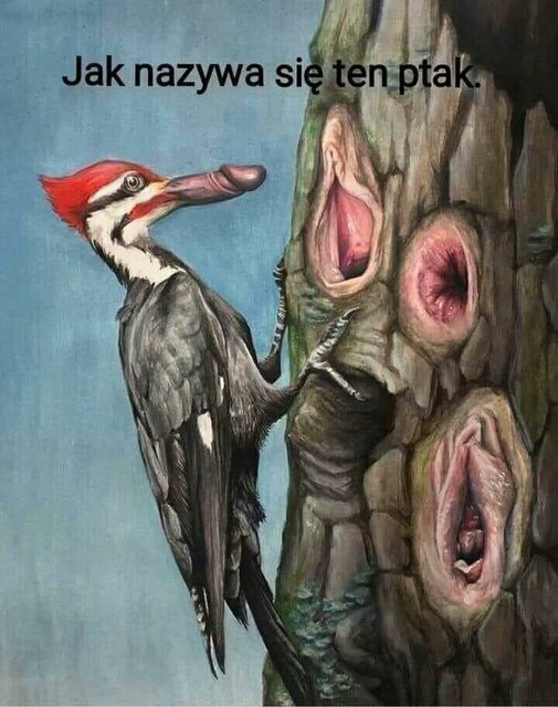 107971816_1490146201173110_1262944609459856461_n.jpg - raybeez80