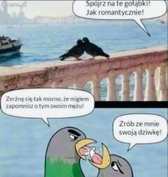 Lenovo odzysk tel 2206.jpg