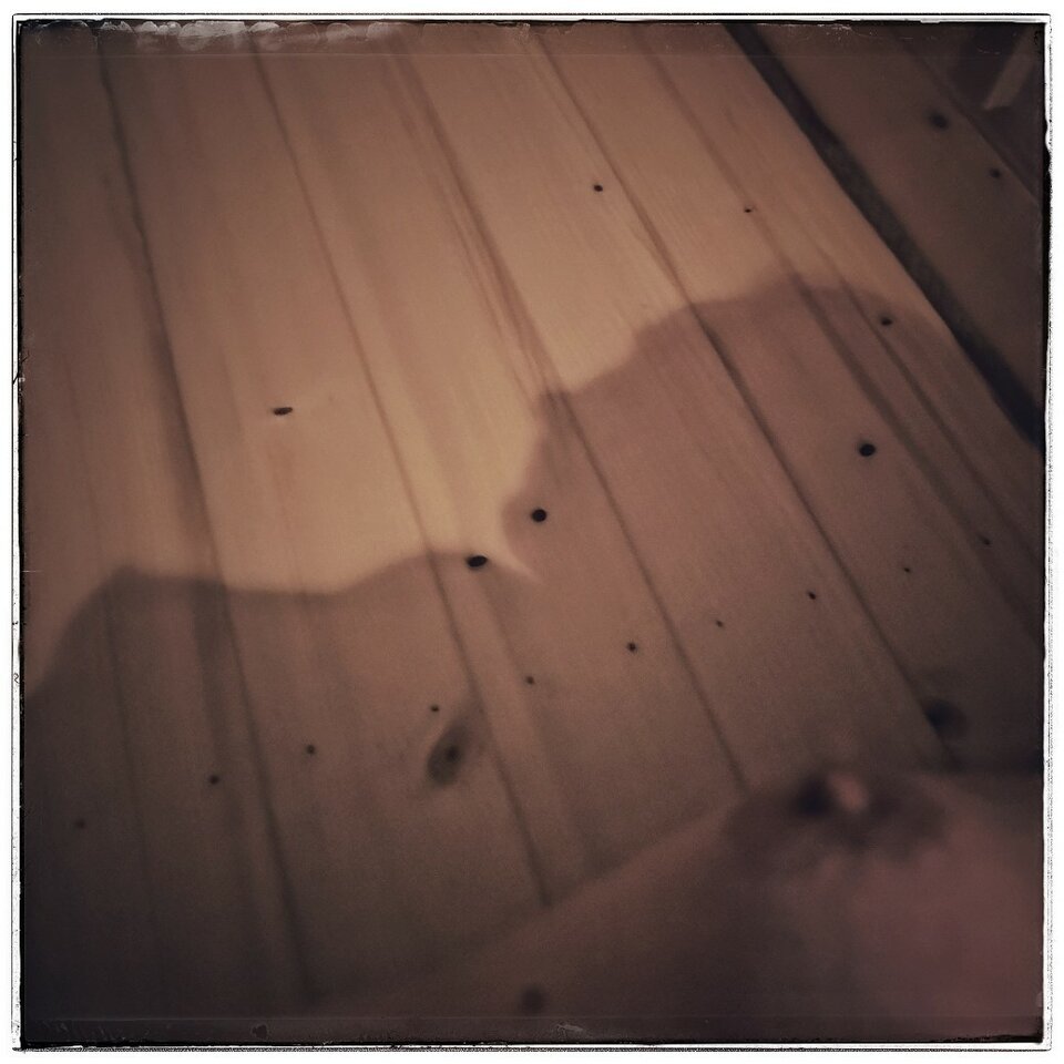 Lipcowe saunowanie cz.1 - malzlublin