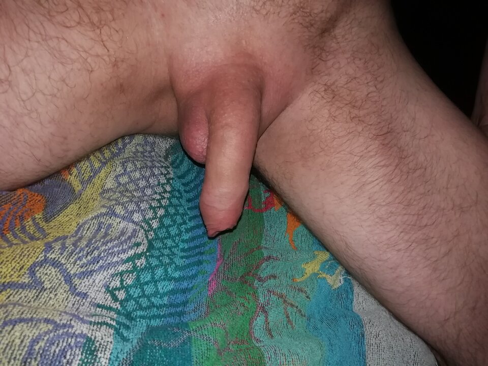 IMG_20200712_055712.jpg - FAJNIUTKI84