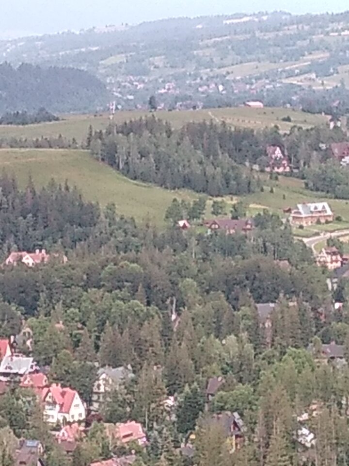 IMG_20200712_142614243_BURST001.jpg - wawamybi