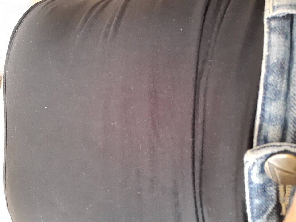 15945664823313304405014571252251.jpg - Palciusia