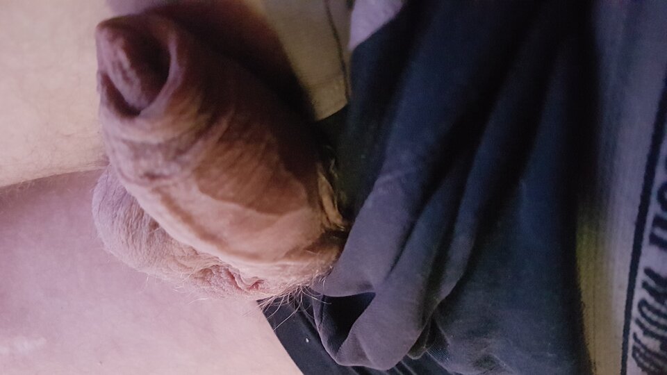 15945814128972714645754734805381.jpg - miro1011