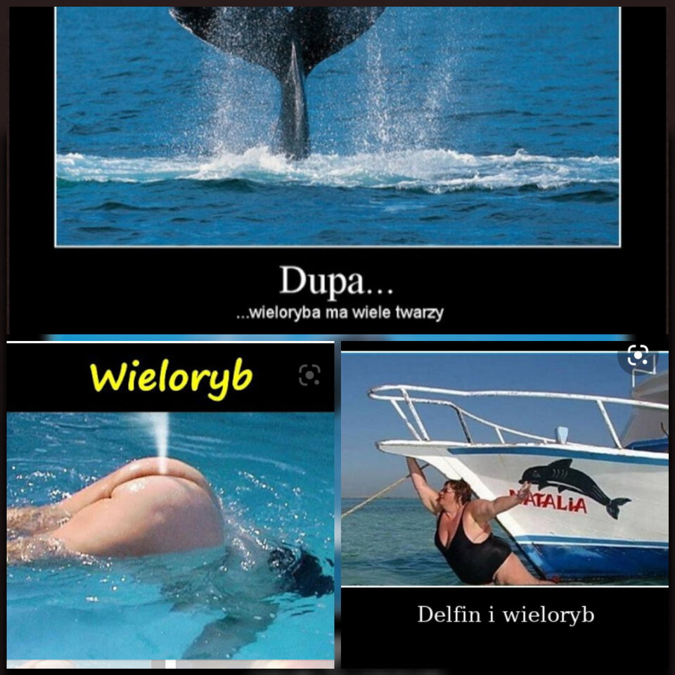 inCollage_20200712_225839644.jpg - TacySobie88