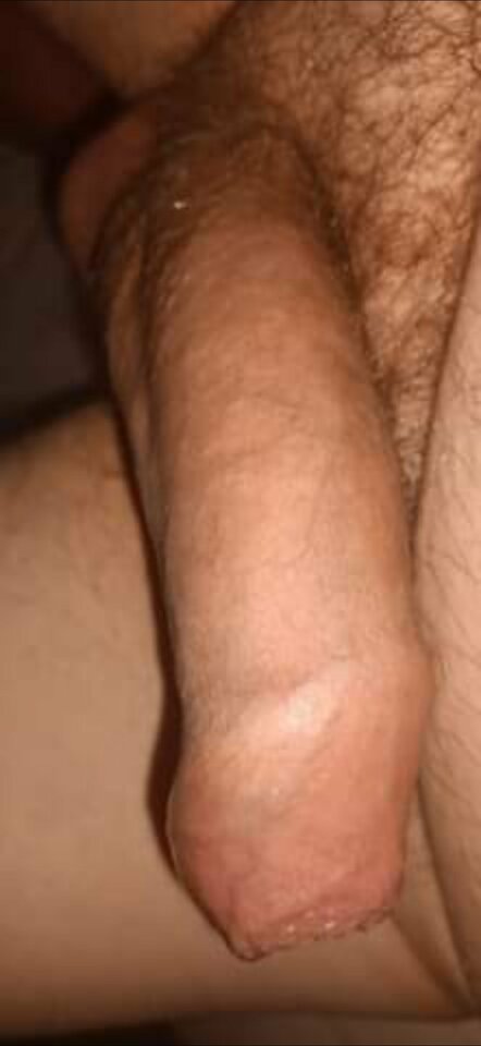 USER_SCOPED_TEMP_DATA_orca-image-656088031.jpeg - Umberto74