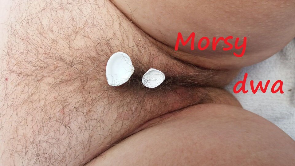 Muszelki. - Morsy_dwa