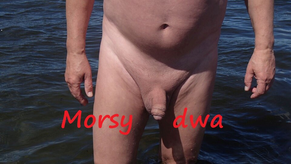 Plener Rewa. - Morsy_dwa