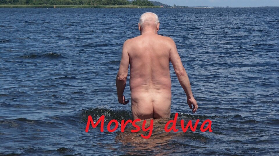 Plener Rewa. - Morsy_dwa