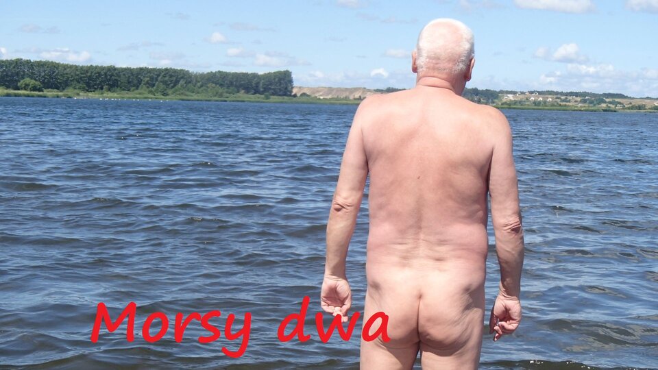 Plener Rewa. - Morsy_dwa