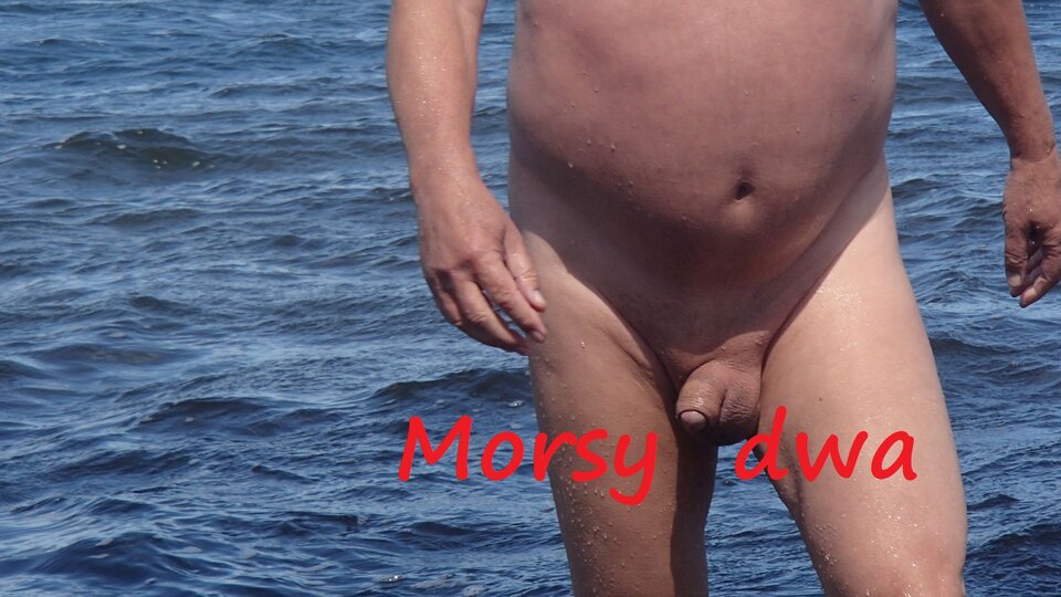 Plener Rewa. - Morsy_dwa