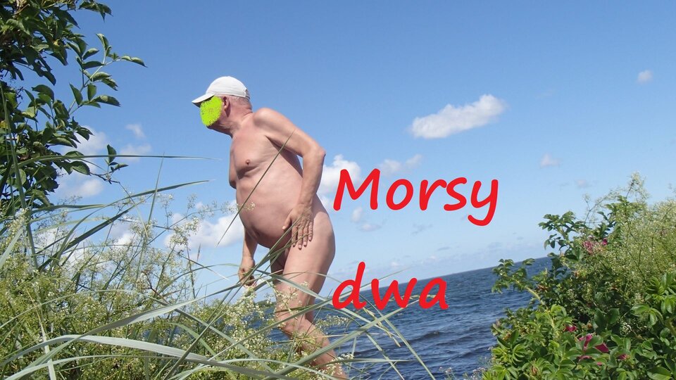 Plener Rewa. - Morsy_dwa