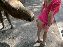86E0F54F-CC12-4409-97D8-37A478071CF2.jpeg
